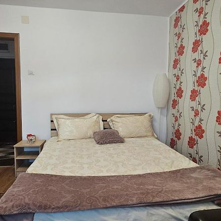 Casa Suzana Apartment Piatra Neamt Ngoại thất bức ảnh