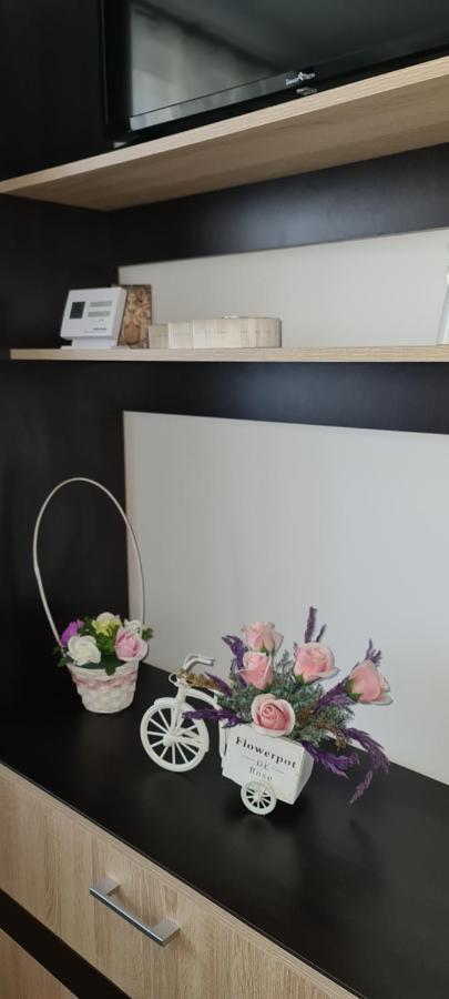 Casa Suzana Apartment Piatra Neamt Ngoại thất bức ảnh
