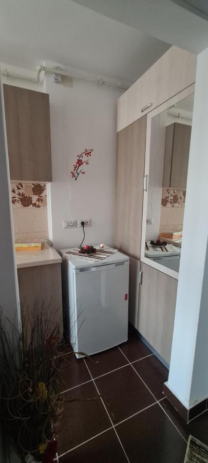Casa Suzana Apartment Piatra Neamt Ngoại thất bức ảnh